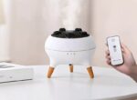 Dynamic Jellyfish Air Humidifier V80_Remote Control - Image 11